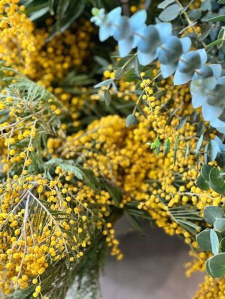 acsi la la route du mimosa descriptif